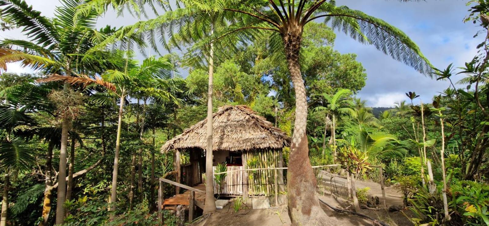 Tanna Lava View Bungalows Lénakel Екстериор снимка