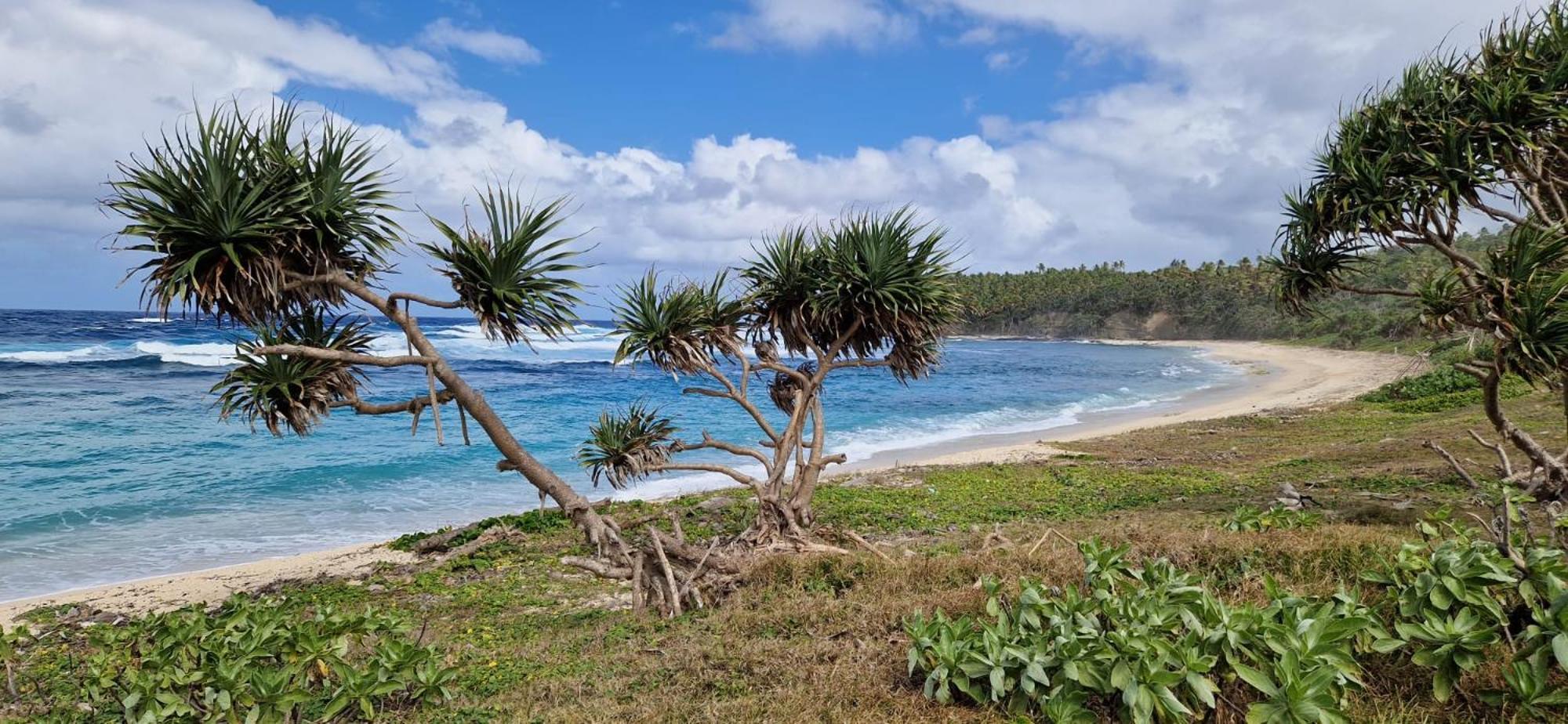 Tanna Lava View Bungalows Lénakel Екстериор снимка