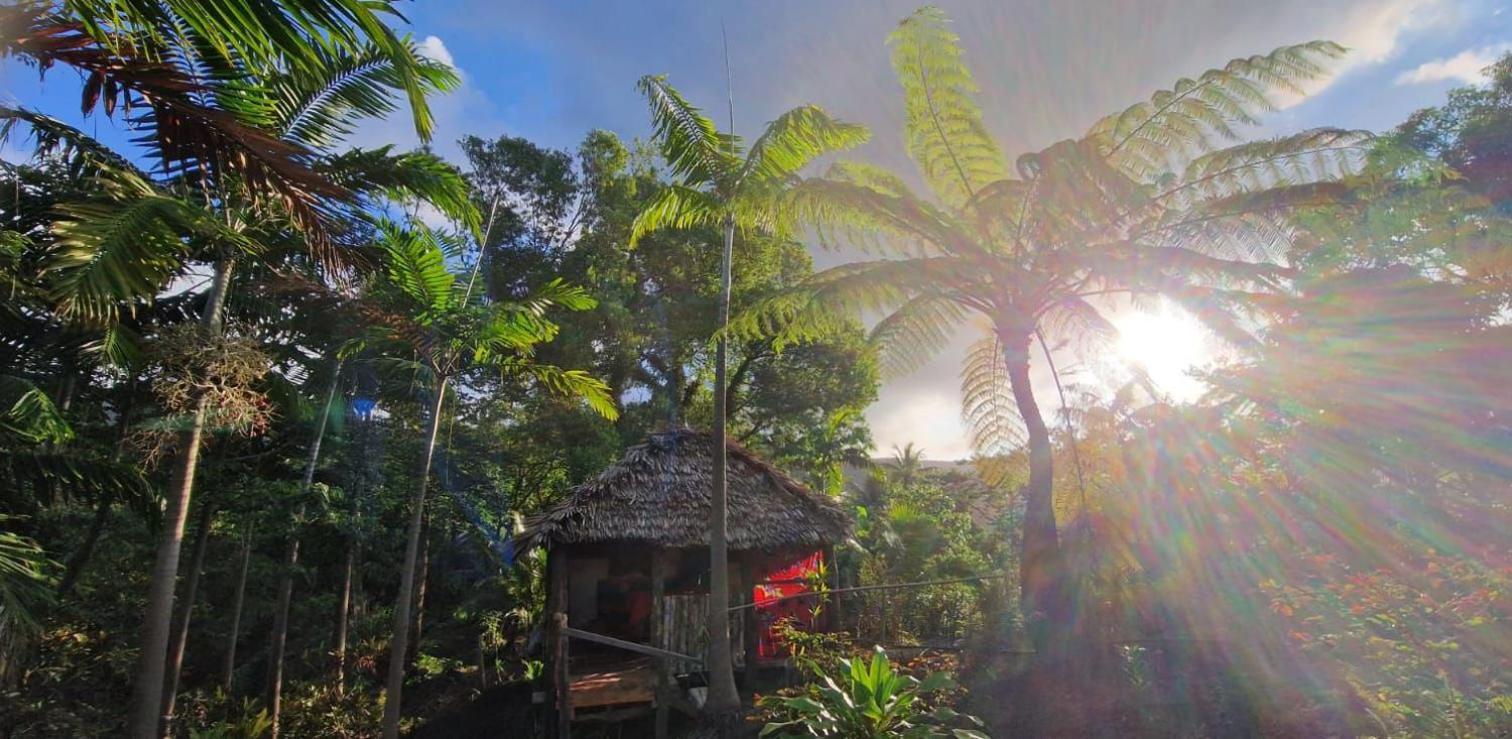 Tanna Lava View Bungalows Lénakel Стая снимка