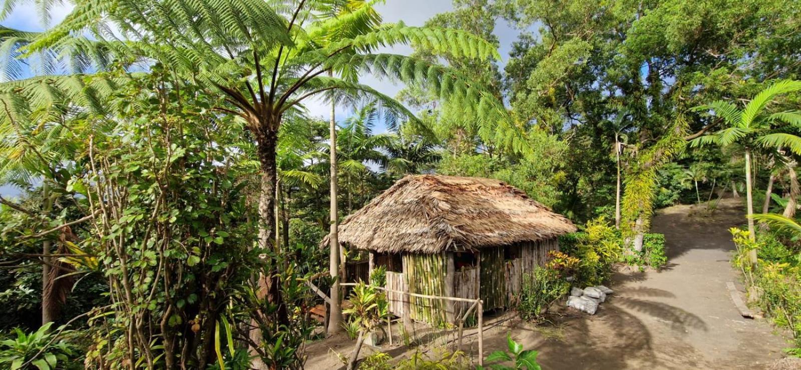 Tanna Lava View Bungalows Lénakel Екстериор снимка